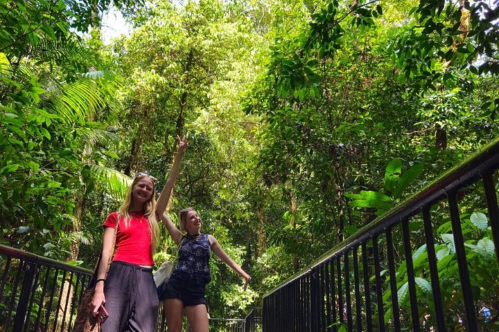 Excursão para pequenos grupos explorando a Floresta Tropical de Daintree, Mossman Gorge e Cape Tribulation a partir de Cairns, foto 13 | wizardtrip