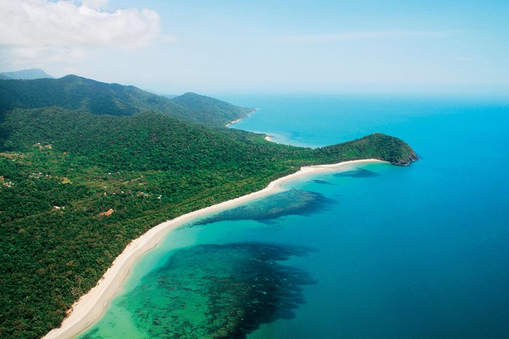 Excursão para pequenos grupos explorando a Floresta Tropical de Daintree, Mossman Gorge e Cape Tribulation a partir de Cairns, foto 14 | wizardtrip