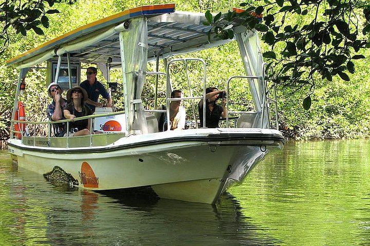 Excursão para pequenos grupos explorando a Floresta Tropical de Daintree, Mossman Gorge e Cape Tribulation a partir de Cairns, foto 17 | wizardtrip