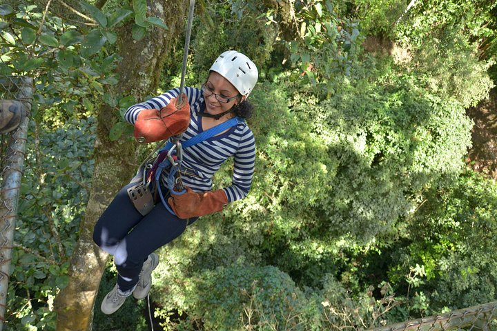 Oplev svævebane, rapelling og vandreture i den frodige Carpintera Hills regnskov nær San Jose, Costa Rica, foto 8 | wizardtrip