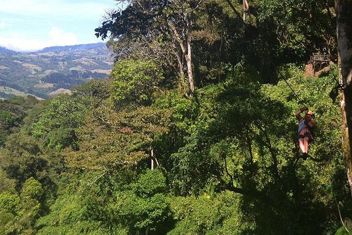 Oplev svævebane, rapelling og vandreture i den frodige Carpintera Hills regnskov nær San Jose, Costa Rica, foto 11 | wizardtrip