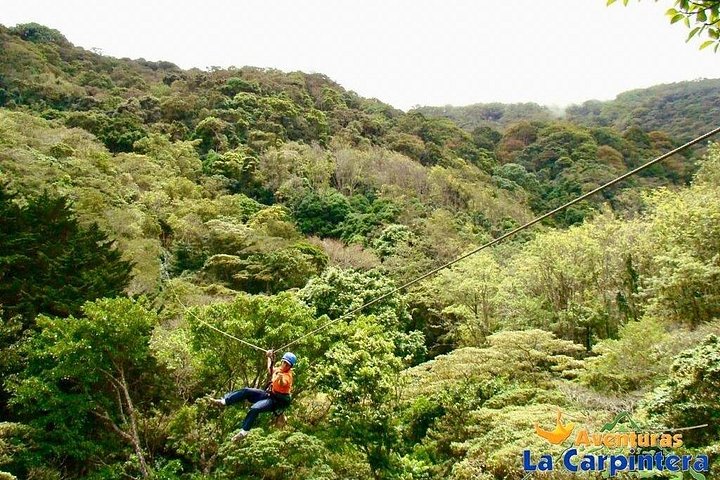 Oplev svævebane, rapelling og vandreture i den frodige Carpintera Hills regnskov nær San Jose, Costa Rica, foto 15 | wizardtrip
