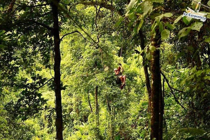 Oplev svævebane, rapelling og vandreture i den frodige Carpintera Hills regnskov nær San Jose, Costa Rica, foto 18 | wizardtrip