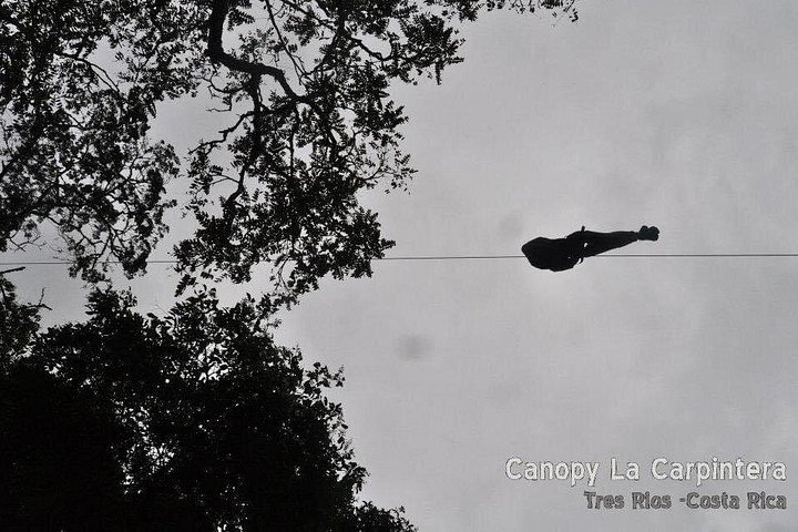 Oplev svævebane, rapelling og vandreture i den frodige Carpintera Hills regnskov nær San Jose, Costa Rica, foto 21 | wizardtrip