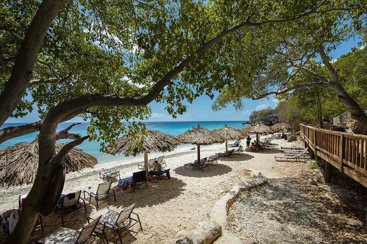 Explore a beleza natural de Curaçao com passeios a grutas, snorkeling com tartarugas e relaxamento na praia, foto 8 | wizardtrip