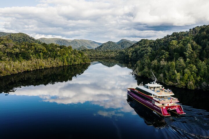 Ochtendcruise Werelderfgoed op de Gordon River vanuit Strahan | wizardtrip