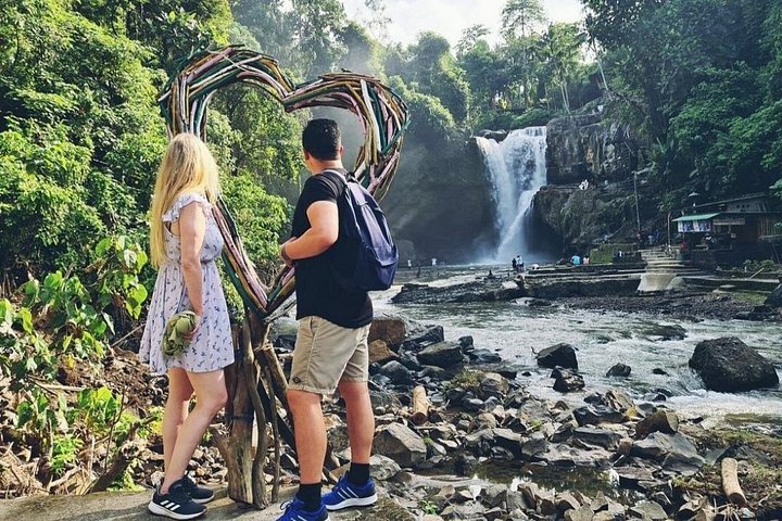 Privétour langs de hoogtepunten van Ubud, inclusief apenbos, rijstterrassen en tempels op Bali, foto 7 | wizardtrip