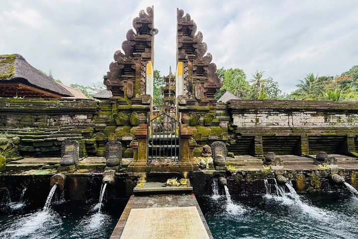 Privétour langs de hoogtepunten van Ubud, inclusief apenbos, rijstterrassen en tempels op Bali, foto 13 | wizardtrip