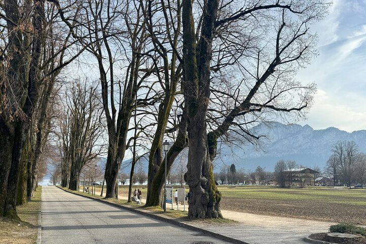 Tour por Salzburgo con lugares de rodaje de "El Sonido de la Música", incluyendo la casa Von Trapp y el cenador, foto 16 | wizardtrip