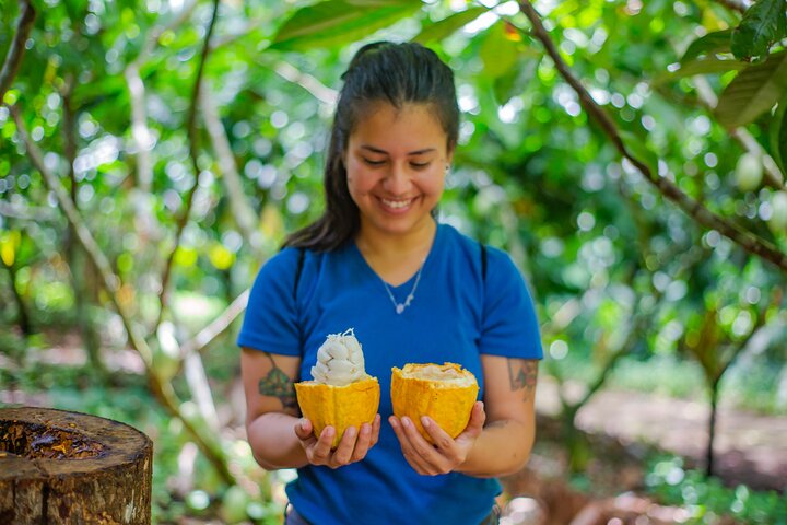 コスタリカのココア農園での実践的なチョコレート作りツアー、写真13 | wizardtrip