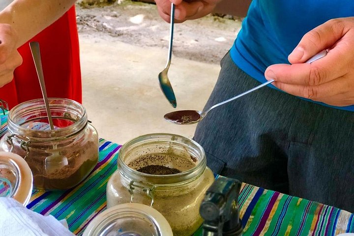 コスタリカのココア農園での実践的なチョコレート作りツアー、写真20 | wizardtrip