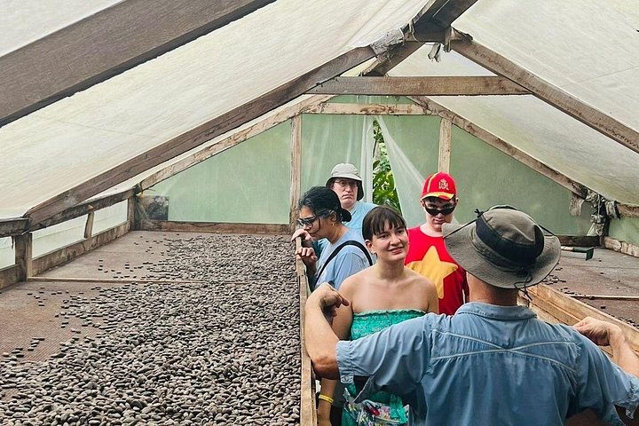コスタリカのココア農園での実践的なチョコレート作りツアー、写真25 | wizardtrip