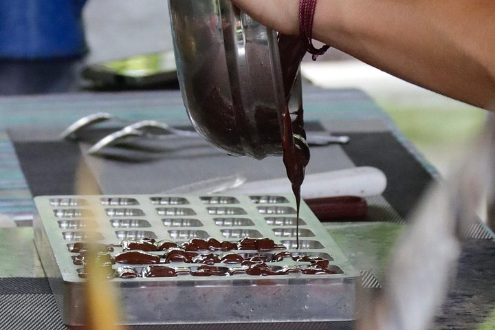 コスタリカのココア農園での実践的なチョコレート作りツアー、写真27 | wizardtrip