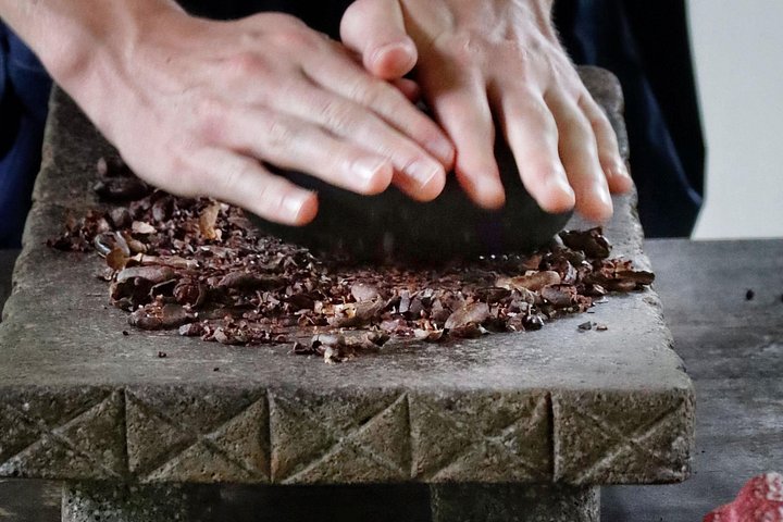 コスタリカのココア農園での実践的なチョコレート作りツアー、写真29 | wizardtrip