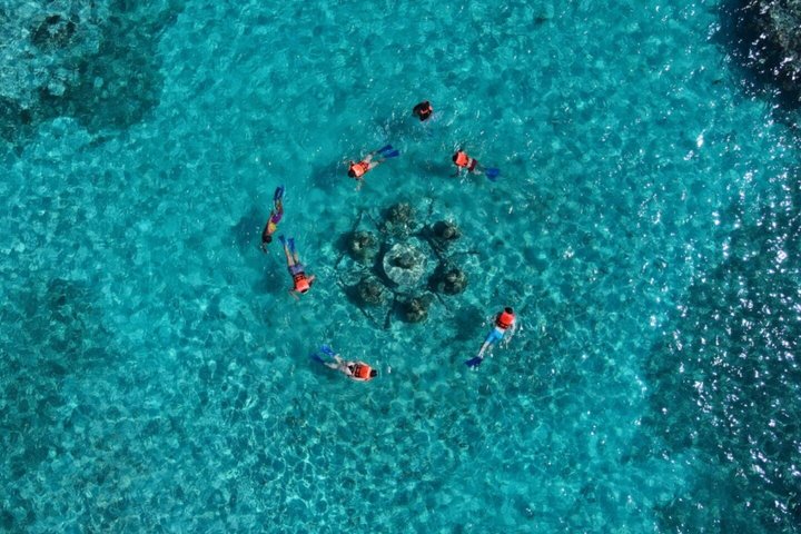 カンクンのジャングルとサンゴ礁でスピードボートを運転し、シュノーケリングを楽しみましょう、写真21 | wizardtrip