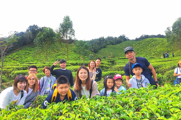 Esplora le lussureggianti piantagioni di tè e i vivaci mercati di Cameron Highlands in un tour di un giorno da Ipoh, foto 7 | wizardtrip