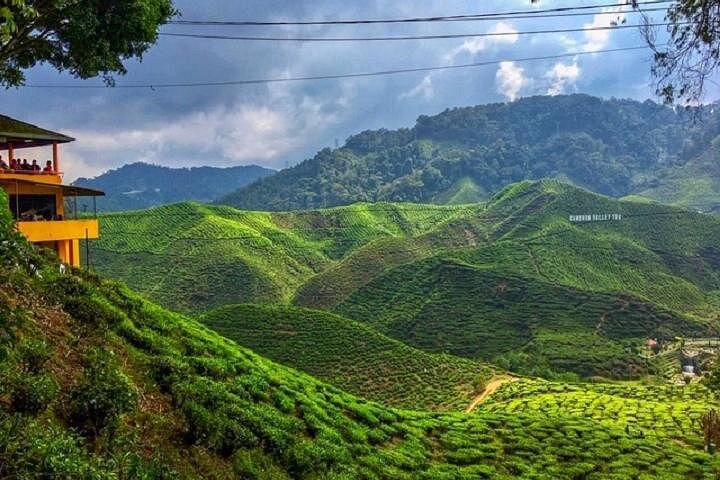 Esplora le lussureggianti piantagioni di tè e i vivaci mercati di Cameron Highlands in un tour di un giorno da Ipoh, foto 8 | wizardtrip