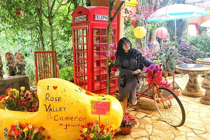 Esplora le lussureggianti piantagioni di tè e i vivaci mercati di Cameron Highlands in un tour di un giorno da Ipoh, foto 9 | wizardtrip