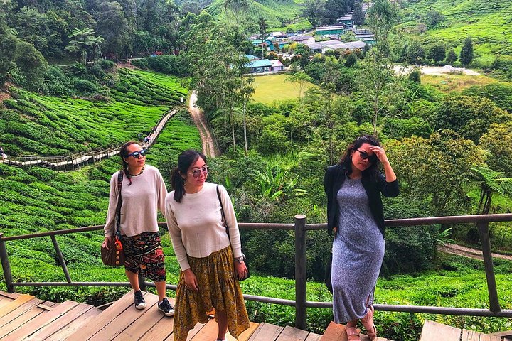 Esplora le lussureggianti piantagioni di tè e i vivaci mercati di Cameron Highlands in un tour di un giorno da Ipoh, foto 13 | wizardtrip