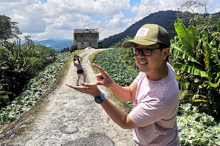 Esplora le lussureggianti piantagioni di tè e i vivaci mercati di Cameron Highlands in un tour di un giorno da Ipoh, foto 15 | wizardtrip
