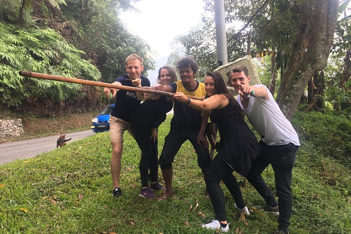 Esplora le lussureggianti piantagioni di tè e i vivaci mercati di Cameron Highlands in un tour di un giorno da Ipoh, foto 16 | wizardtrip