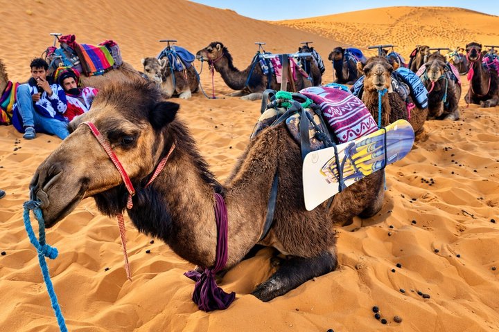 3-daagse woestijntour van Marrakech naar Merzouga met kameelrit en woestijnkamp, foto 16 | wizardtrip