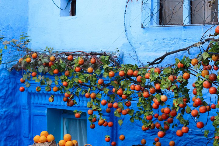 Une excursion d'une journée panoramique de Tanger à la ville bleue de Chefchaouen dans les montagnes du Rif au Maroc, photo 14 | wizardtrip