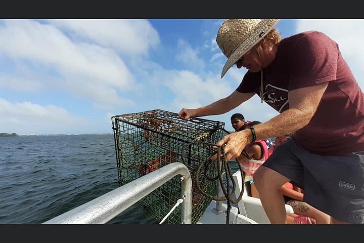 Nyt et morsomt delfinkryss og sjølivsopplevelse på en båt i Orange Beach, Alabama, foto 11 | wizardtrip
