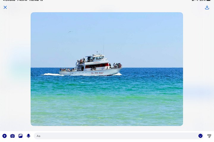 Nyt et morsomt delfinkryss og sjølivsopplevelse på en båt i Orange Beach, Alabama, foto 26 | wizardtrip