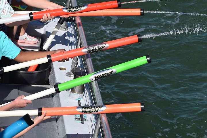 Nyt et morsomt delfinkryss og sjølivsopplevelse på en båt i Orange Beach, Alabama, foto 33 | wizardtrip