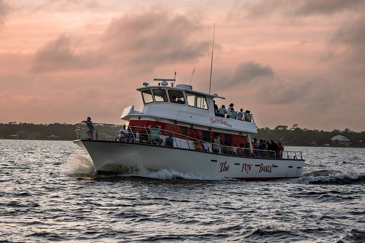 Nyt et morsomt delfinkryss og sjølivsopplevelse på en båt i Orange Beach, Alabama, foto 37 | wizardtrip