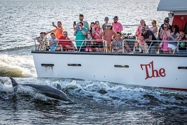 Nyt et morsomt delfinkryss og sjølivsopplevelse på en båt i Orange Beach, Alabama, foto 39 | wizardtrip