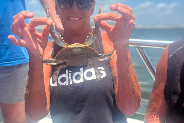 Nyt et morsomt delfinkryss og sjølivsopplevelse på en båt i Orange Beach, Alabama, foto 46 | wizardtrip