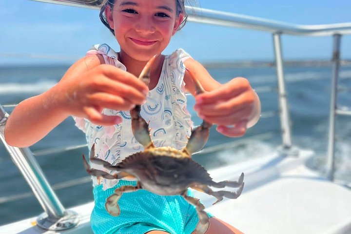 Nyt et morsomt delfinkryss og sjølivsopplevelse på en båt i Orange Beach, Alabama, foto 49 | wizardtrip