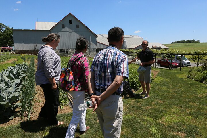 Authentic Tour & Meal with the Amish! | wizardtrip