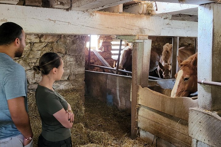 Autentisk Amish-kulturtur og måltid i Lancaster County, USA, foto 8 | wizardtrip