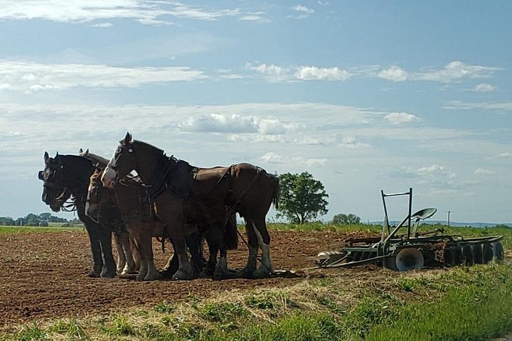 Autentisk Amish-kulturtur og måltid i Lancaster County, USA, foto 9 | wizardtrip