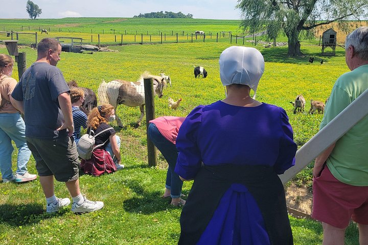 Fordybende tur i Amish Country i Lancaster, Pennsylvania, med gårde og kulturel indsigt, foto 6 | wizardtrip