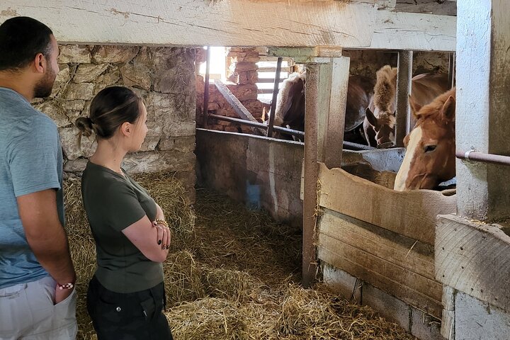 Fordybende tur i Amish Country i Lancaster, Pennsylvania, med gårde og kulturel indsigt, foto 10 | wizardtrip