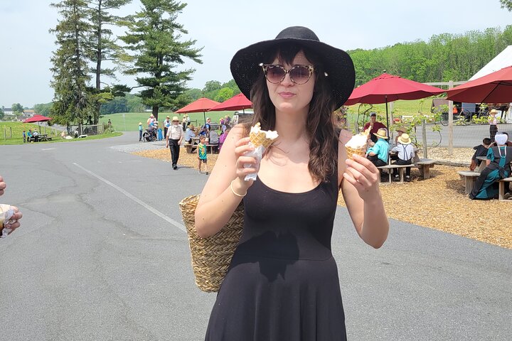Fordybende tur i Amish Country i Lancaster, Pennsylvania, med gårde og kulturel indsigt, foto 15 | wizardtrip