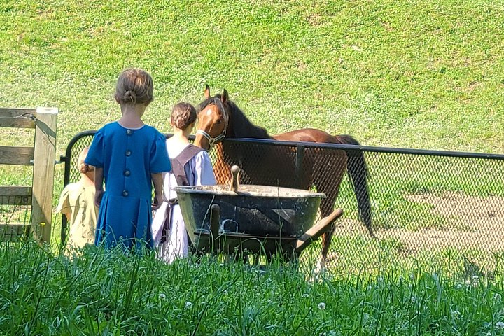 Fordybende tur i Amish Country i Lancaster, Pennsylvania, med gårde og kulturel indsigt, foto 16 | wizardtrip