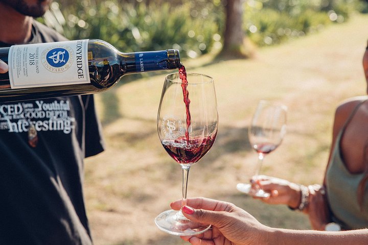 Tour de vinhos panorâmico na Ilha Waiheke, Nova Zelândia, visitando vinícolas e apreciando vistas costeiras, foto 6 | wizardtrip
