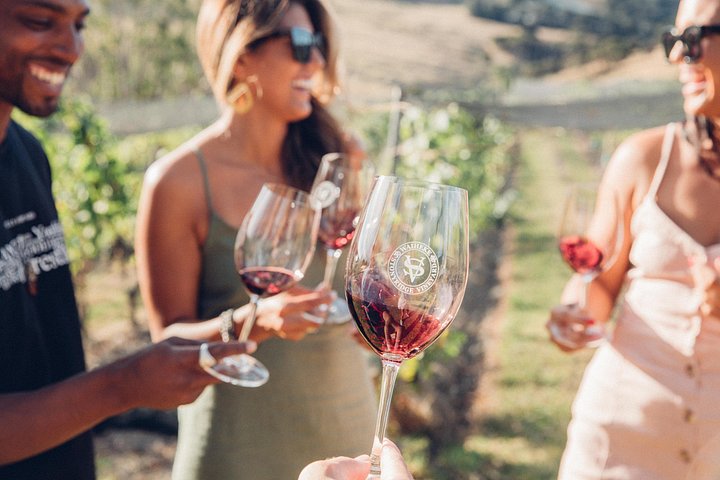 Tour de vinhos panorâmico na Ilha Waiheke, Nova Zelândia, visitando vinícolas e apreciando vistas costeiras, foto 7 | wizardtrip