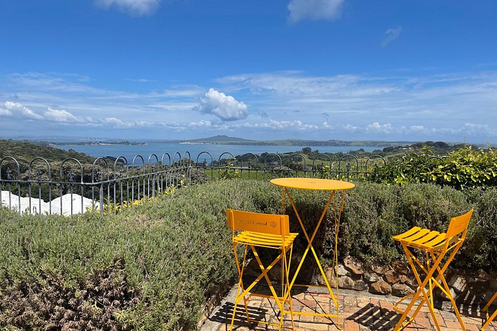 Tour de vinhos panorâmico na Ilha Waiheke, Nova Zelândia, visitando vinícolas e apreciando vistas costeiras, foto 16 | wizardtrip