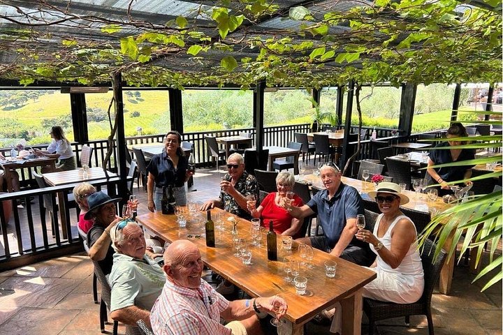 Tour de vinhos panorâmico na Ilha Waiheke, Nova Zelândia, visitando vinícolas e apreciando vistas costeiras, foto 19 | wizardtrip