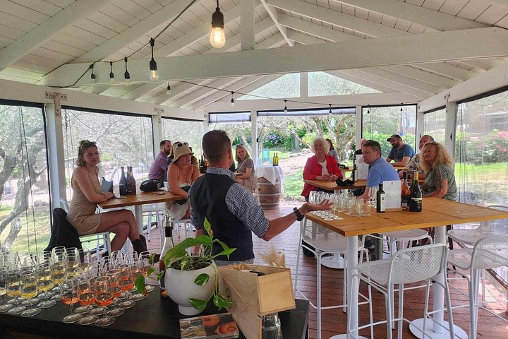 Tour de vinhos panorâmico na Ilha Waiheke, Nova Zelândia, visitando vinícolas e apreciando vistas costeiras, foto 20 | wizardtrip