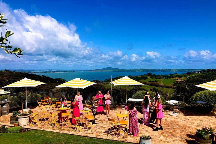 Tour de vinhos panorâmico na Ilha Waiheke, Nova Zelândia, visitando vinícolas e apreciando vistas costeiras, foto 21 | wizardtrip