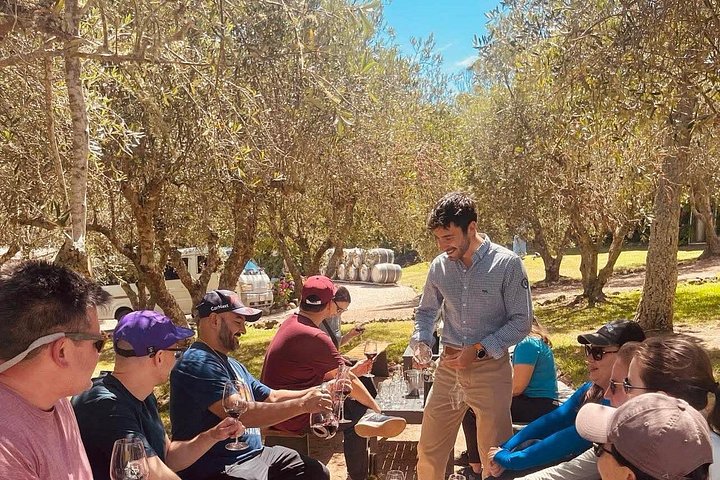 Tour de vinhos panorâmico na Ilha Waiheke, Nova Zelândia, visitando vinícolas e apreciando vistas costeiras, foto 22 | wizardtrip