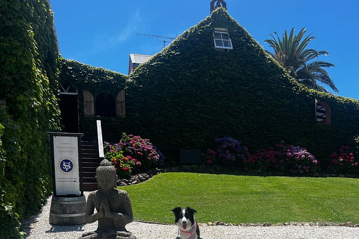 Tour de vinhos panorâmico na Ilha Waiheke, Nova Zelândia, visitando vinícolas e apreciando vistas costeiras, foto 25 | wizardtrip