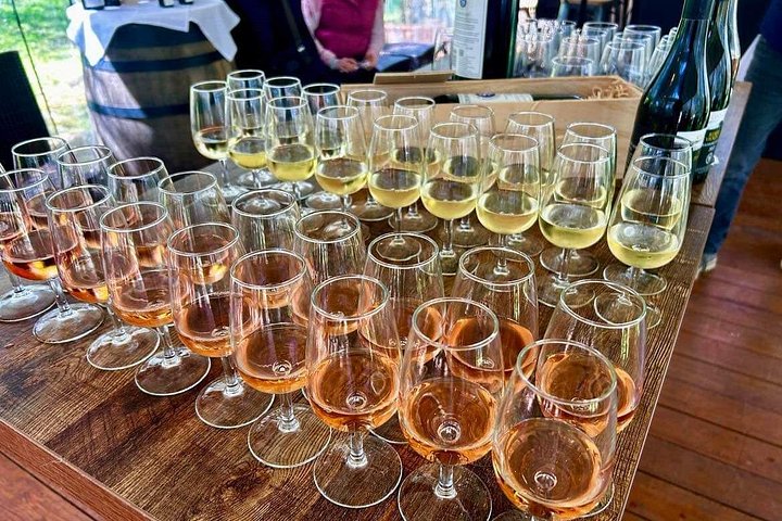 Tour de vinhos panorâmico na Ilha Waiheke, Nova Zelândia, visitando vinícolas e apreciando vistas costeiras, foto 26 | wizardtrip